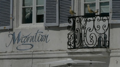 Migration Ein Haus mit der Aufschrift "Migration"