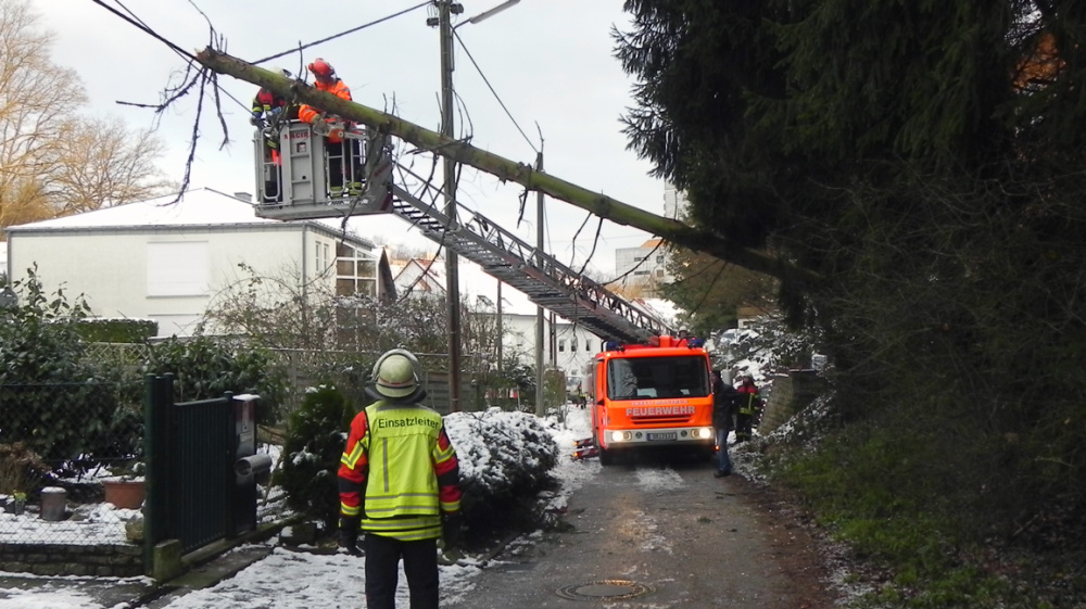 Umgestürzter Baum auf Stromleitung Umgestürzter Baum auf Stromleitung