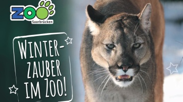 Winterzauber im Saarbrücker Zoo (Quelle: Zoo Saarbrücken) Image