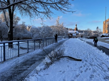 Alte Brücke, Astbruch Image