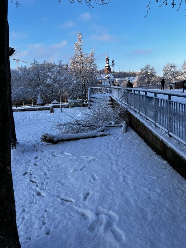 Alte Brücke, Astbruch Image