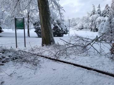 Deutsch-Französicher Garten: Astbruch Image