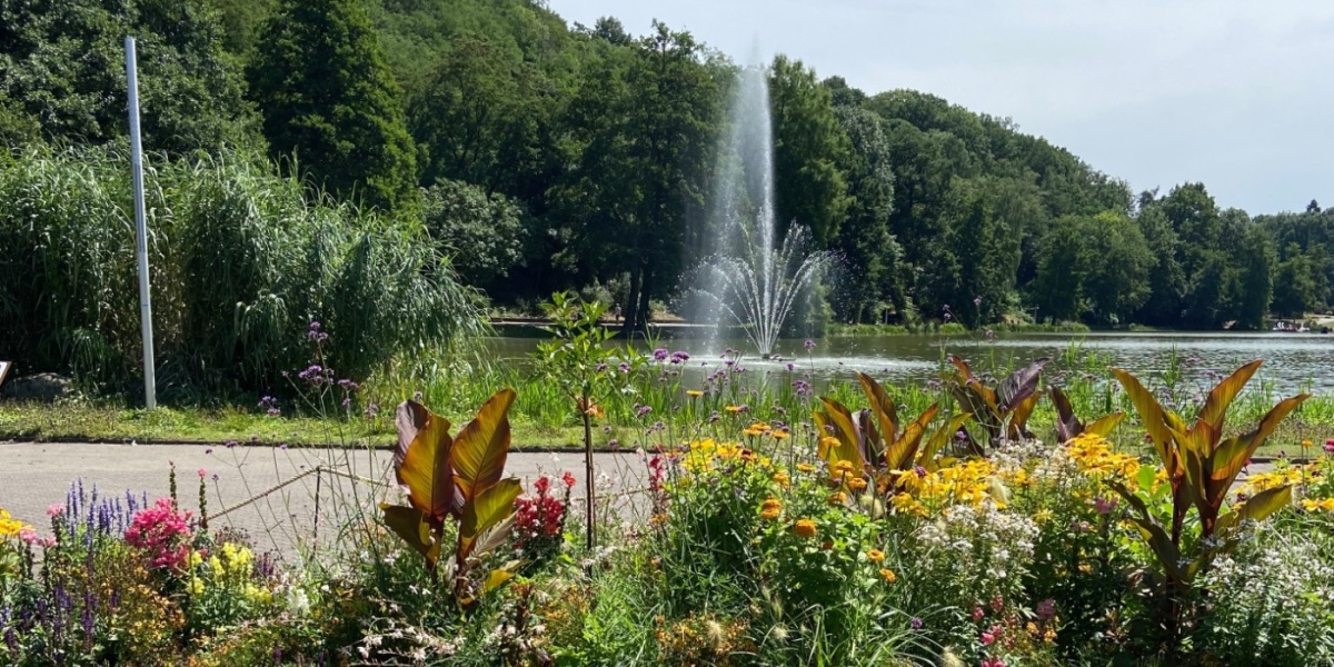 Deutschmühlenweiher Deutschmühlenweiher