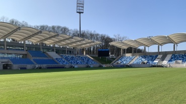 Rasen im Ludwigspark (Stand 8. März 2024) Image