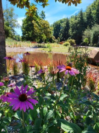 Tal der Blumen