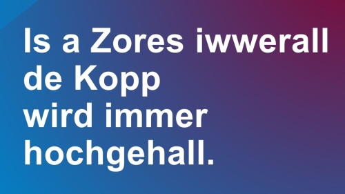 Bild für die Seniorenkampagne mit dem Zitat in Saarbrücker Platt: "Is a Zores iwwerall, de Kopp wird immer hochgehall."