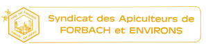 gelbes Logo auf weißem Hintergrund mit Bienenwabe links gelbes Logo auf weißem Hintergrund mit Bienenwabe links