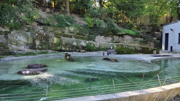 Pinguingehege Saarbrücker Zoo (Quelle: Landeshauptstadt Saarbrücken) Image