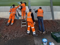 Nach dem Saubermachen ist vor dem Saubermachen - OB Conradt (rechts) hilft am 1. April bei der Saubermachaktion der Deutschen Bahn Männer in Warnwesten stehen an einem Bahn-Schallschutz und überstreichen ihn